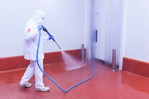 Reliable Marion, AL Pressure Washing Solutions
